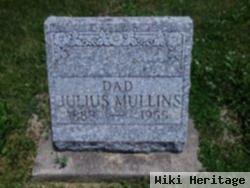 Julius Webb Mullins