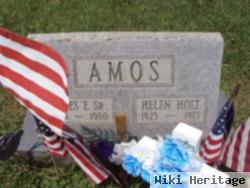 Helen Holt Amos