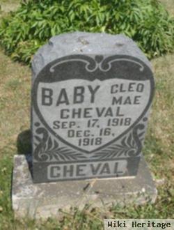 Cleo Mae Cheval