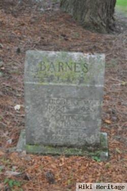 Robert W Barnes