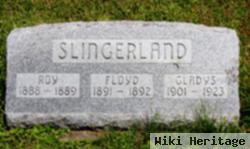 Roy Slingerland