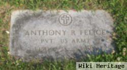 Anthony R. Felice