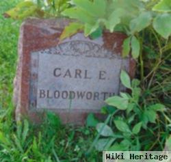 Carl E. Bloodworth