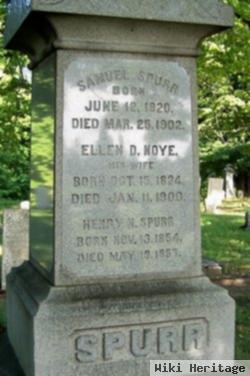 Ellen D Noye Spurr