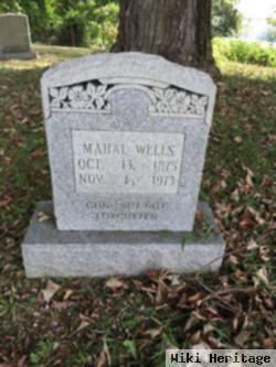 Mahal Wells