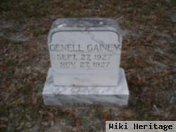 Genell Gainey