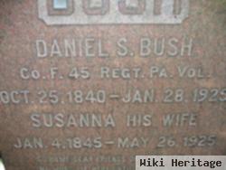 Daniel S Bush