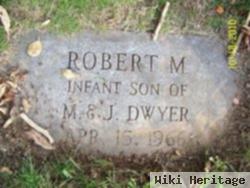 Robert M Dwyer