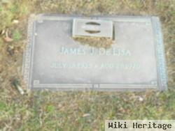 James J. Delisa