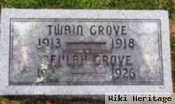 Twain Grove