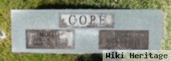 Ingle Cope