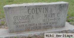 Mary Christina Owens Colvin