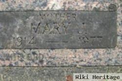 Mary J Hoffman