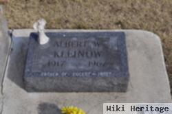 Albert W. Kleinow