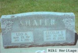 Cecelia Irene Brickel Shafer