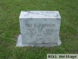 Ted S Johnson