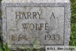 Harry Wolfe