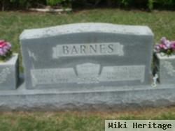 Dan E Barnes