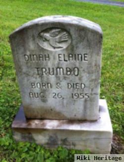 Dinah Elaine Trumbo