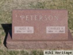 Charles A Peterson