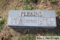 Mary J. Perkins