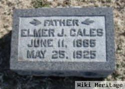 Elmer James Cales