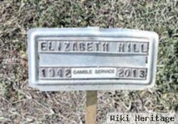 Elizabeth Ann Carter Hill