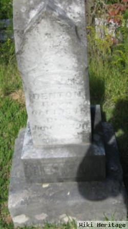 M C Denton