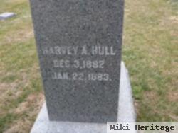 Harvey A Hull