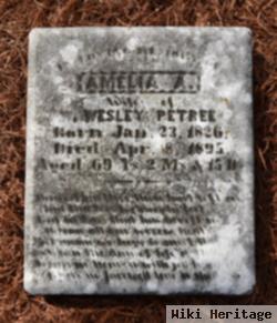 Amelia Antoinette Starr Petree