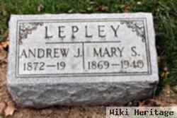 Andrew J Lepley