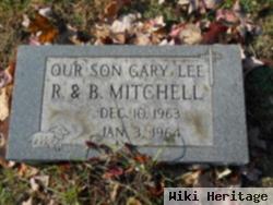 Gary Lee Mitchell