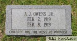 A J Owens, Jr