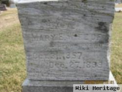 Mary Ellen Gibson Hendrickson