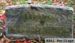 Louis A. Strang