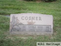 George Anna Cosner