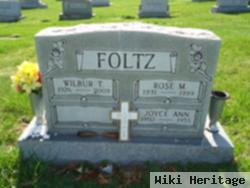 Joyce Ann Foltz