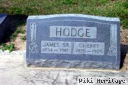 Cherry Hodge