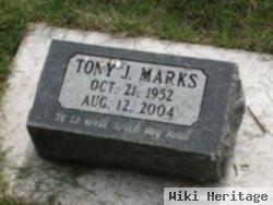 Tony J Marks