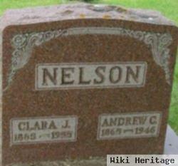 Clara J Nelson Nelson