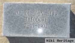 Theodore Herr