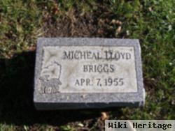 Micheal Lloyd Briggs