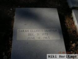 Sarah Elizabeth Elliott Sumner