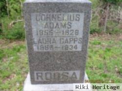 Cornelius Adams Roosa