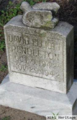 David Elliott Pendleton