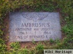 Anthony John Ambrosius