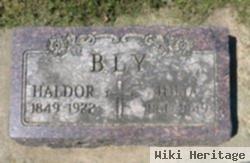 Haldor Bly