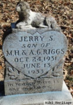 Jerry S. Riggs