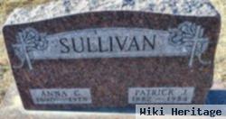 Patrick J Sullivan