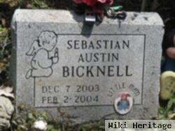 Sebastian A Bicknell